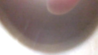 gloria trevi xvideos