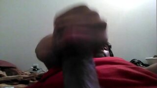 porn xnxx hd