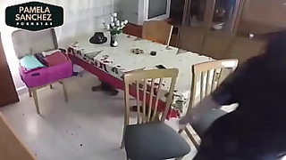 pamela punch xvideos