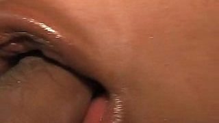 tayrine seifert xvideos