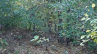 milf tricked stepmom to fuck xvideo